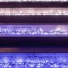 Twinkly Cluster 400 IP44, okos fényfűzér, 400 LED, 6 méter, Bluetooth, Wifi (TWC400STP-BEU)